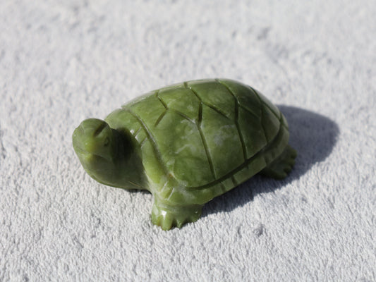 Green Jade Turtle