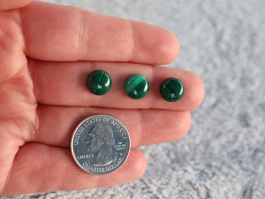 Malachite 10 MM Cabochon